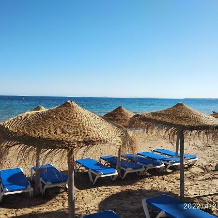 Tango Mango Apartment! Plaza 5 Min, Basen! Torrevieja Buitenkant foto